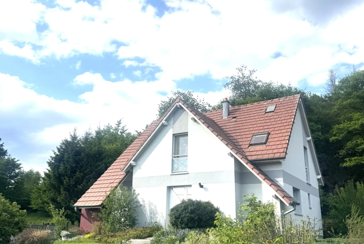 Maison 4 chambres avec terrasse et grand jardin proche Belfort 
