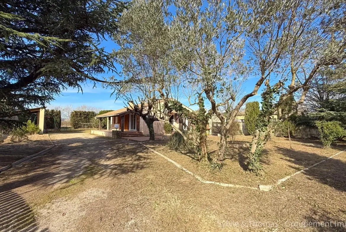 Maison de plain-pied à Caderousse avec dépendances et grand terrain de 4750 m² 