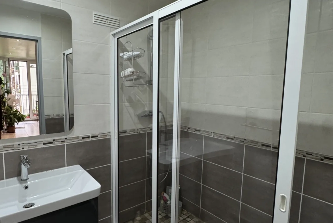 Appartement rénové de 65 m² à Saint Martin d'Hères avec balcon et garage en option 