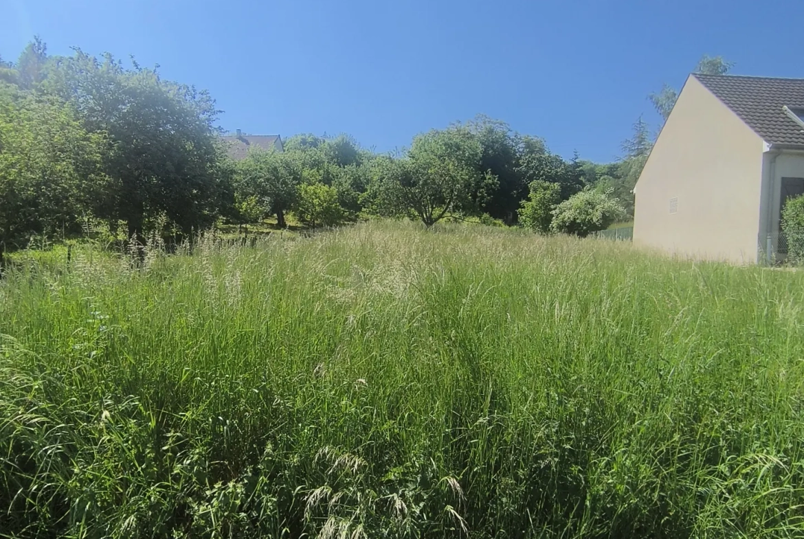 Terrain constructible à Nesles-la-Montagne de 1320 m² sans viabilisation 