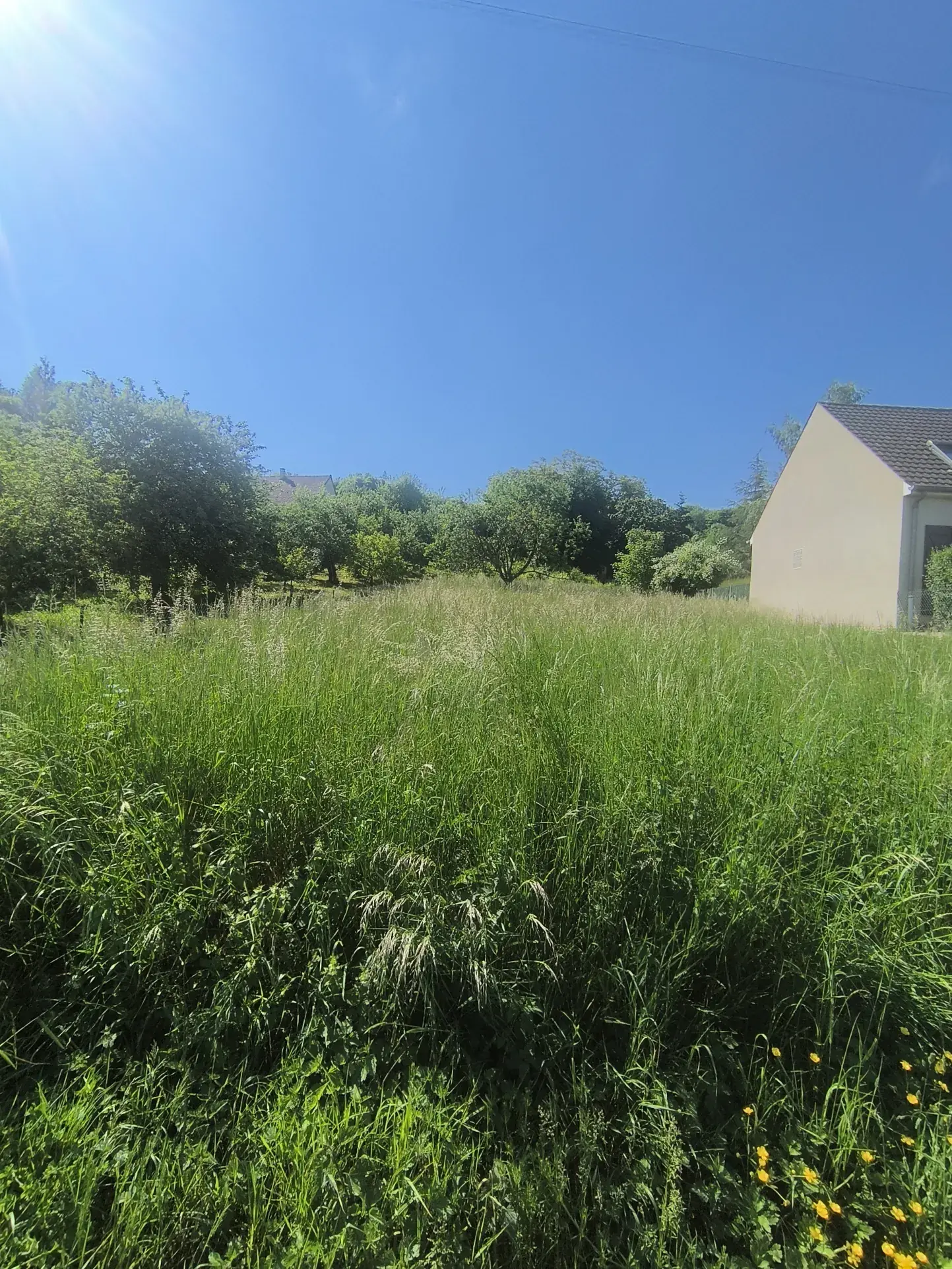 Terrain constructible à Nesles-la-Montagne de 1320 m² sans viabilisation 