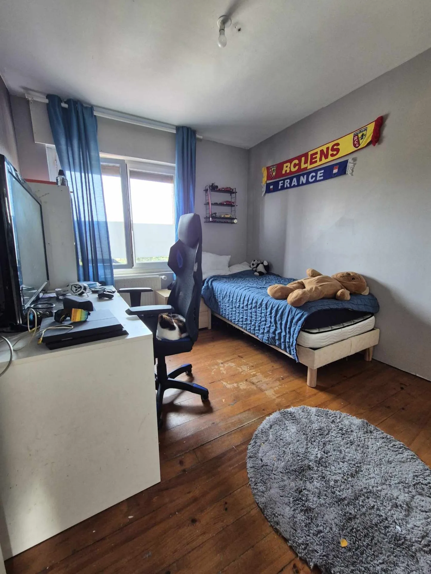Maison semi plain-pied avec 4 chambres, jardin et garage à Estevelles 