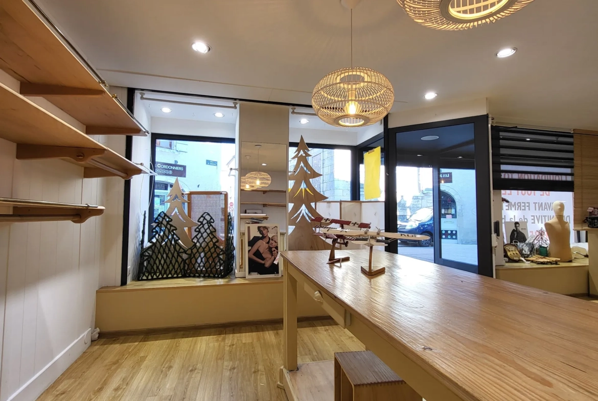 Immeuble avec local commercial et appartement lumineux au centre-ville de Vesoul 