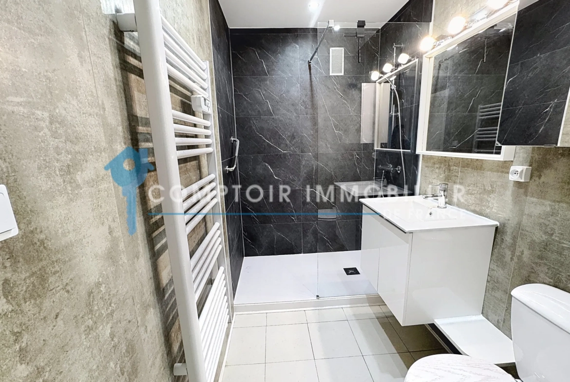 Appartement T2 rénové à Grenoble Eaux Claires - Idéal investissement ou primo-accédant 