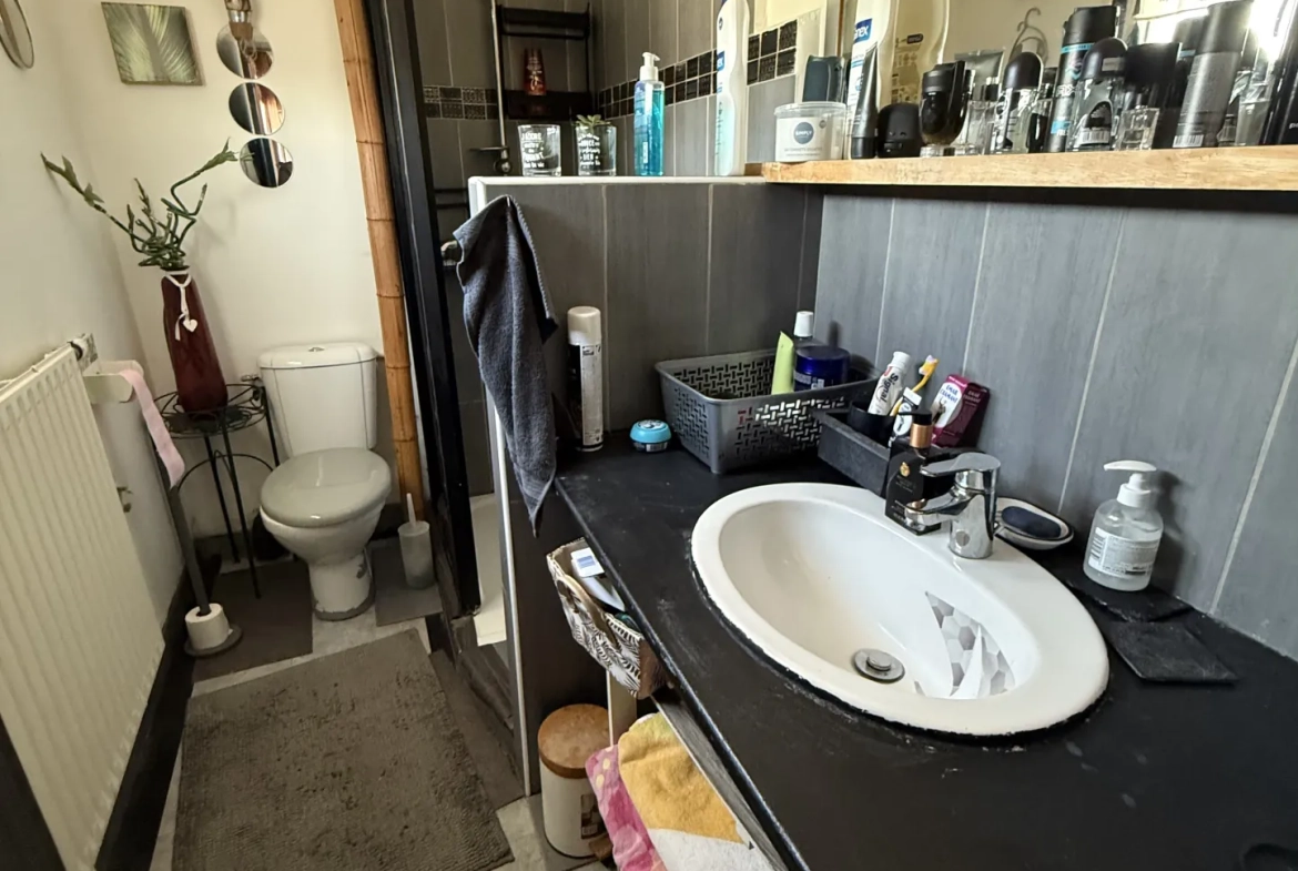 Immeuble de rapport à Bellerive-sur-Allier avec deux lots loués 
