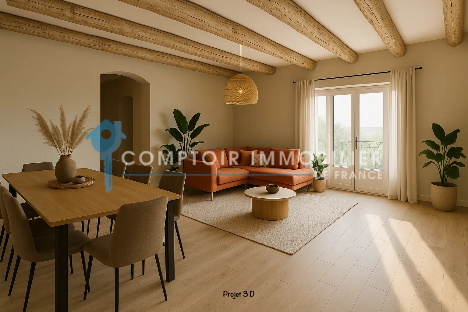 Maison de ville rénovée avec cour et grange à Vauvert 