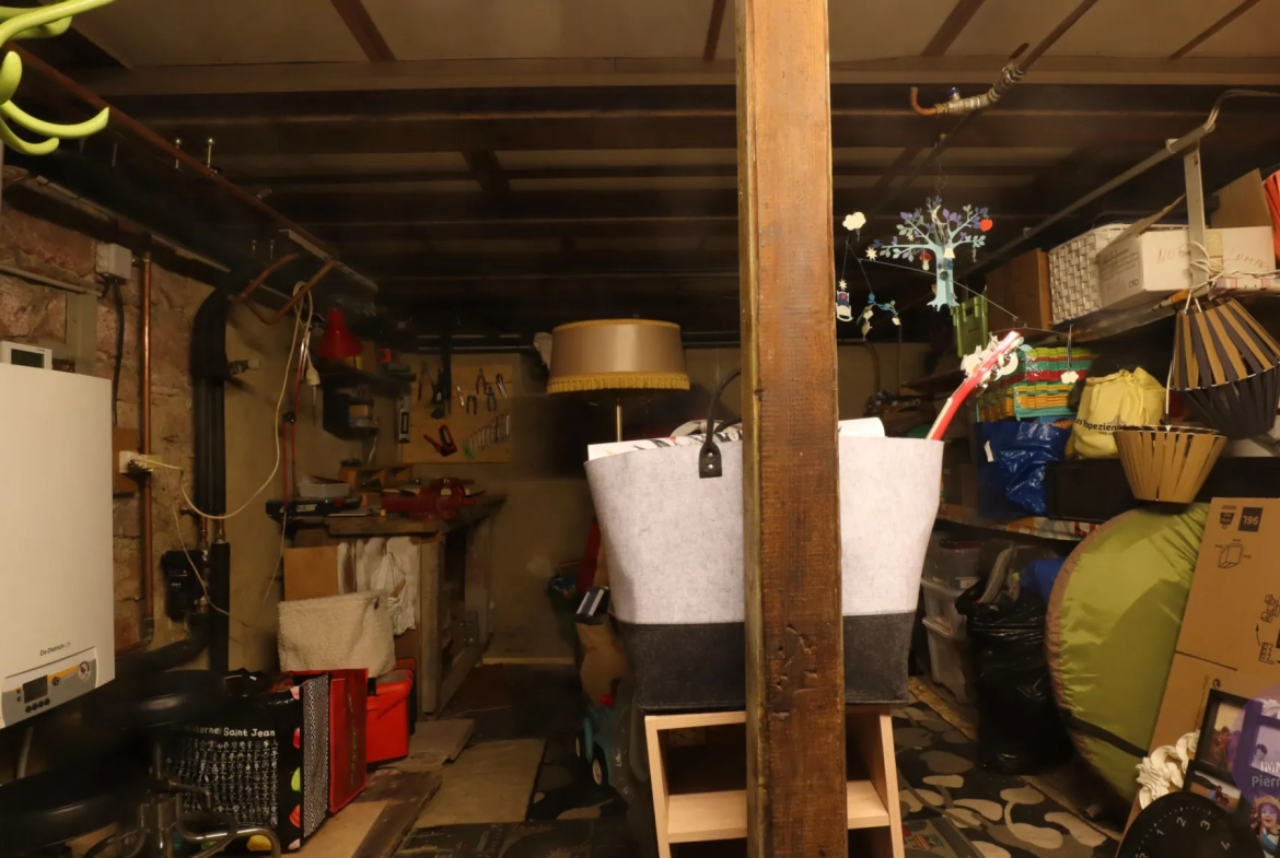 Maison 5 pièces à Erstein de 118,96 m² avec terrasse et garage, charme et confort moderne 