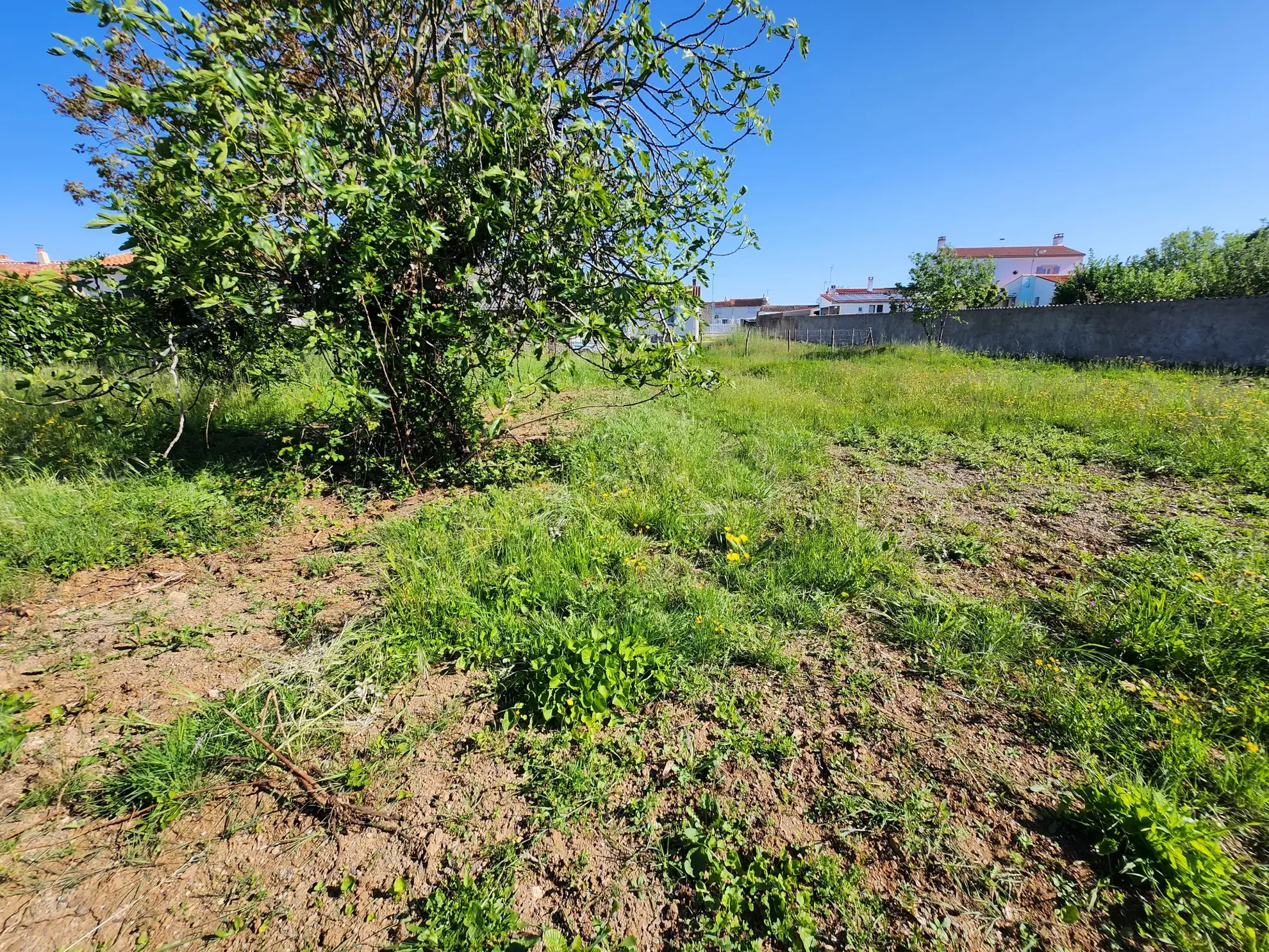 Terrain constructible de 898 m² aux Magnils Reigniers, idéal pour votre projet immobilier en Vendée 