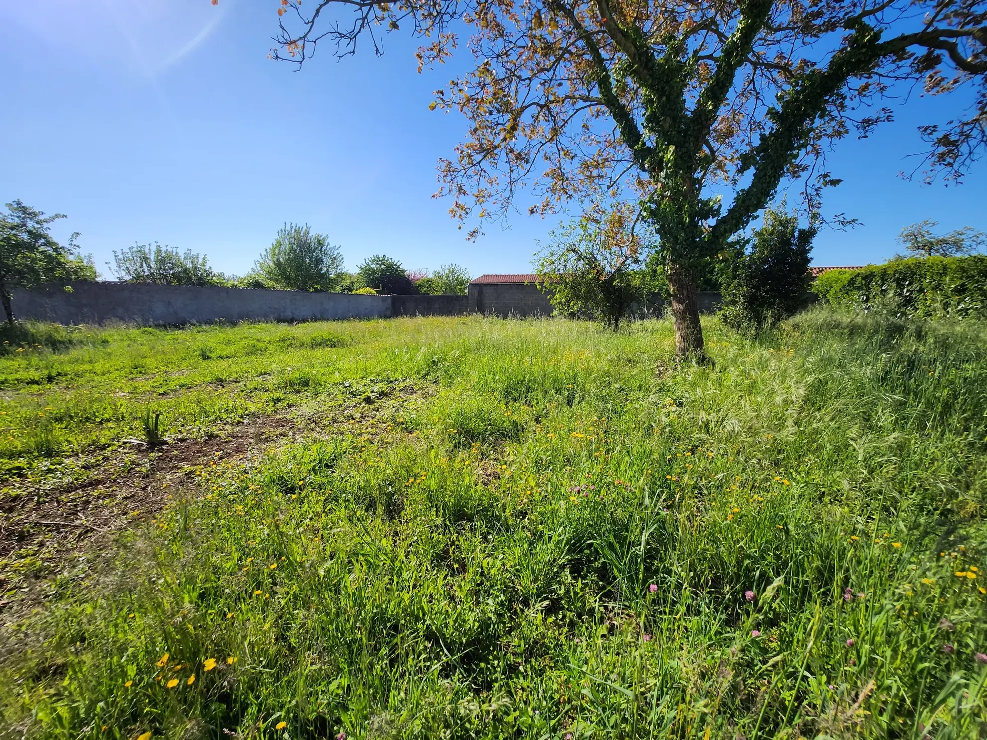 Terrain constructible de 898 m² aux Magnils Reigniers, idéal pour votre projet immobilier en Vendée 