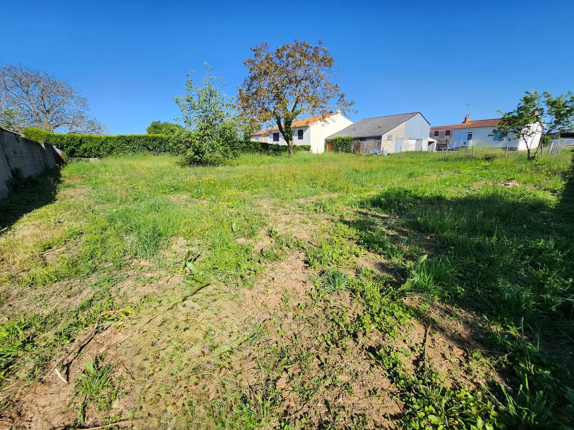 Terrain constructible de 898 m² aux Magnils Reigniers, idéal pour votre projet immobilier en Vendée 