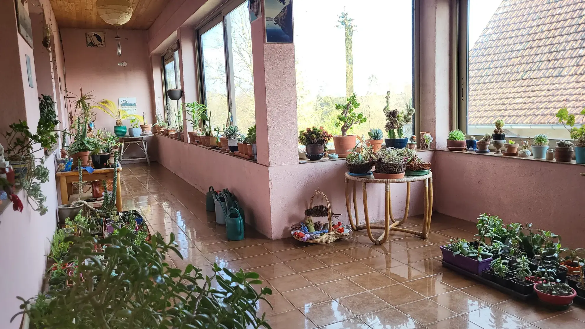 Maison traditionnelle à vendre à Chapelle-Voland avec dépendances et grand terrain 