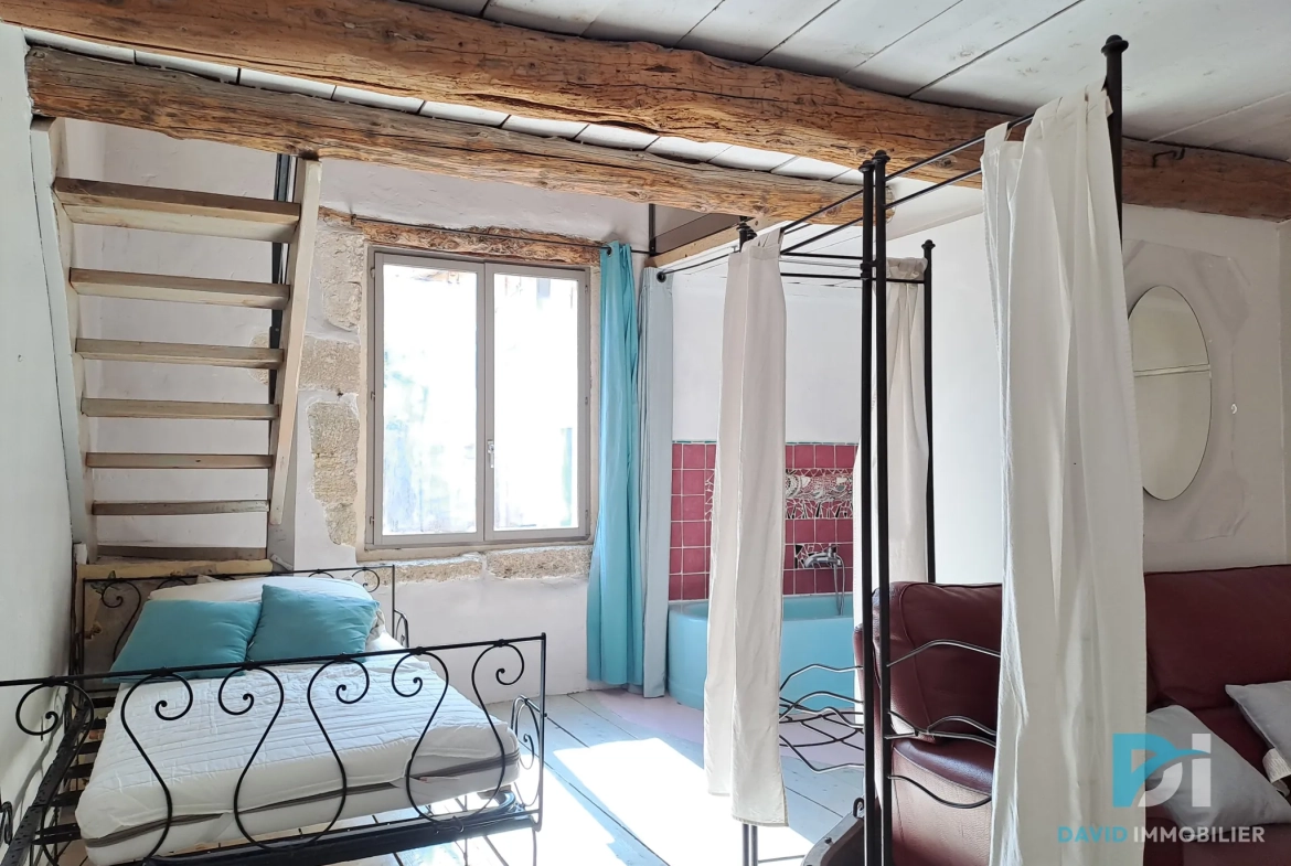 Maison atypique T3 en pierre à Tourbes, 82 m², cadre convivial et charme de l'ancien 