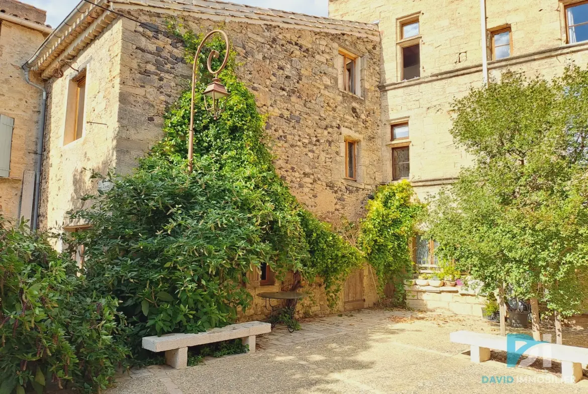 Maison atypique T3 en pierre à Tourbes, 82 m², cadre convivial et charme de l'ancien 