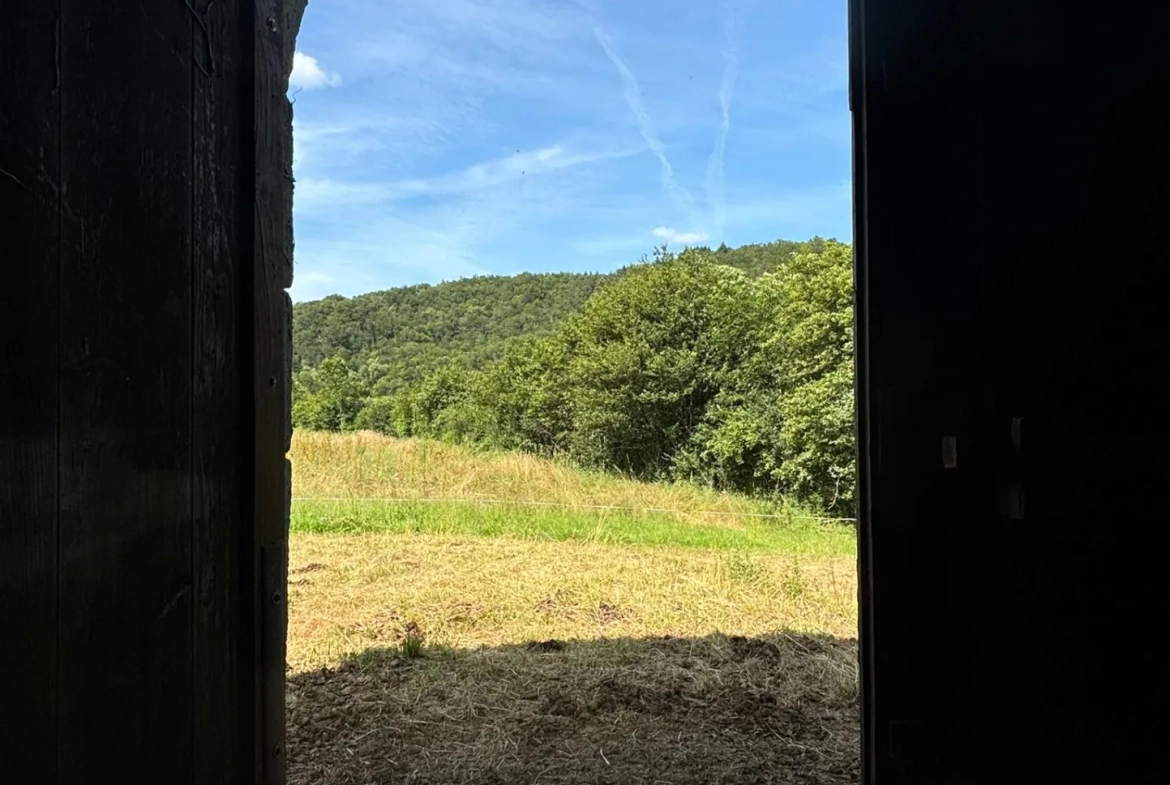 Grande grange en pierre à rénover à Saint-Étienne-de-Maurs (15600), 866 m² de terrain 