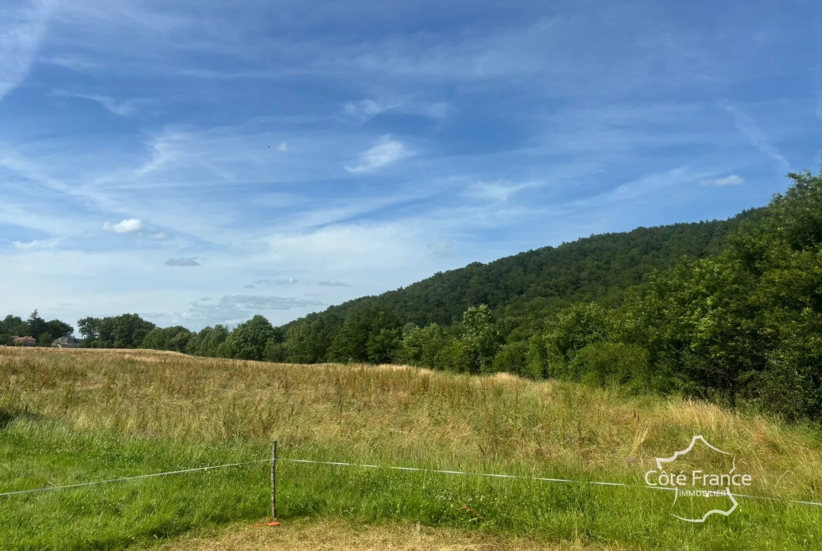Grande grange en pierre à rénover à Saint-Étienne-de-Maurs (15600), 866 m² de terrain 