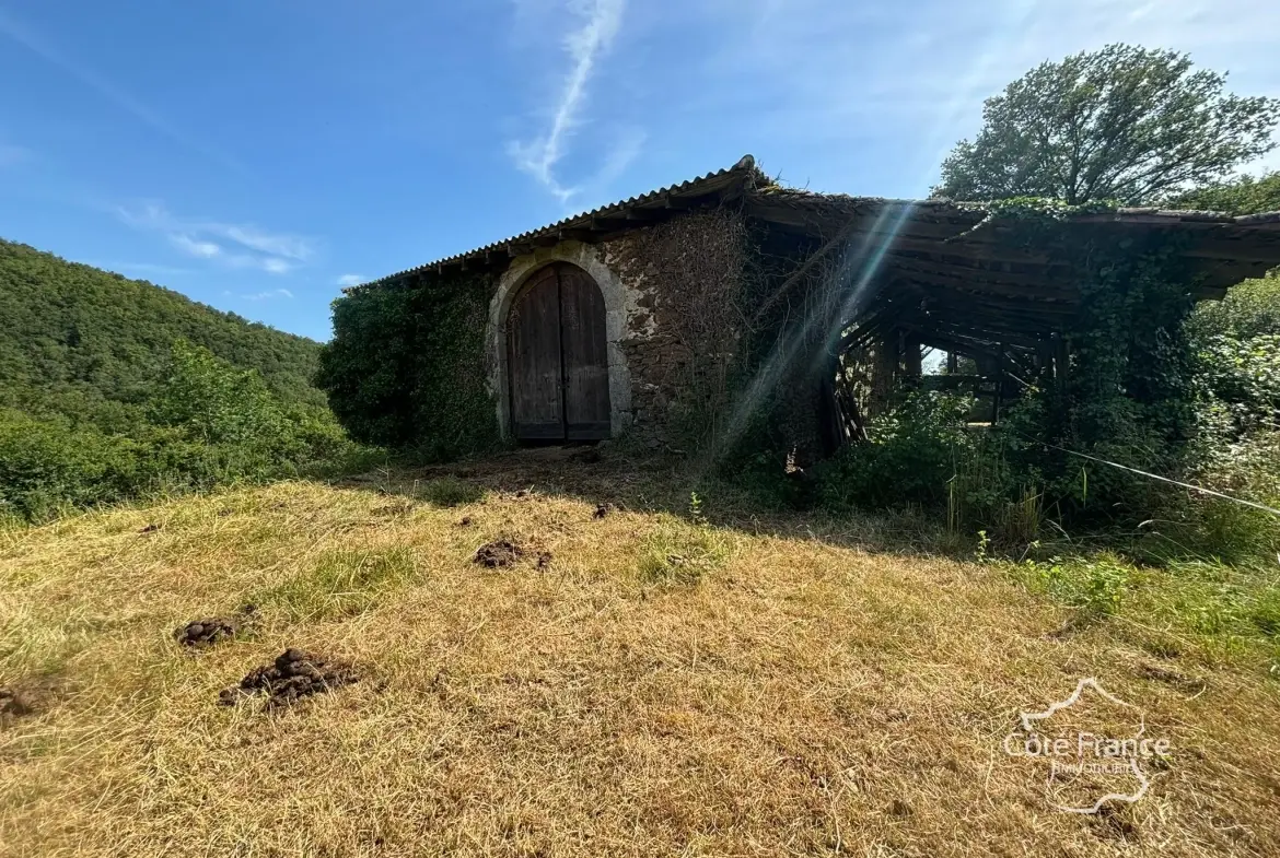Grande grange en pierre à rénover à Saint-Étienne-de-Maurs (15600), 866 m² de terrain 