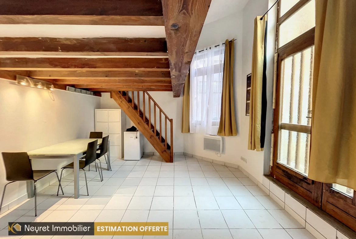 Appartement F1 bis avec mezzanine au centre-ville de Saint-Étienne 
