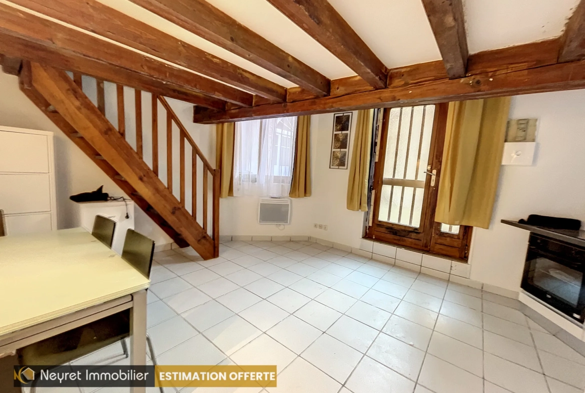 Appartement F1 bis avec mezzanine au centre-ville de Saint-Étienne 