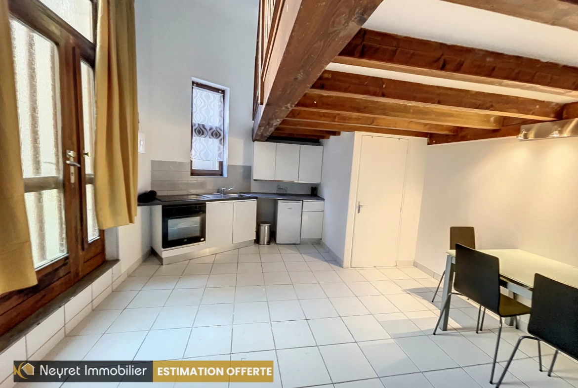 Appartement F1 bis avec mezzanine au centre-ville de Saint-Étienne 