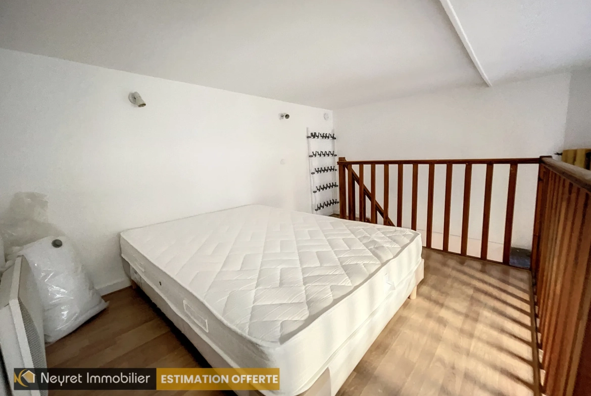 Appartement F1 bis avec mezzanine au centre-ville de Saint-Étienne 