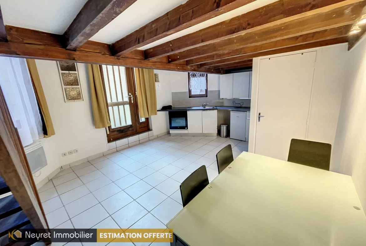 Appartement F1 bis avec mezzanine au centre-ville de Saint-Étienne 