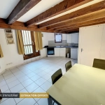 Appartement F1 bis avec mezzanine au centre-ville de Saint-Étienne