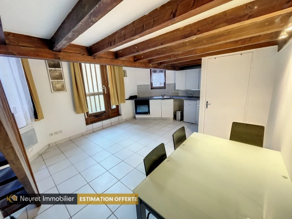 Appartement F1 bis avec mezzanine au centre-ville de Saint-Étienne