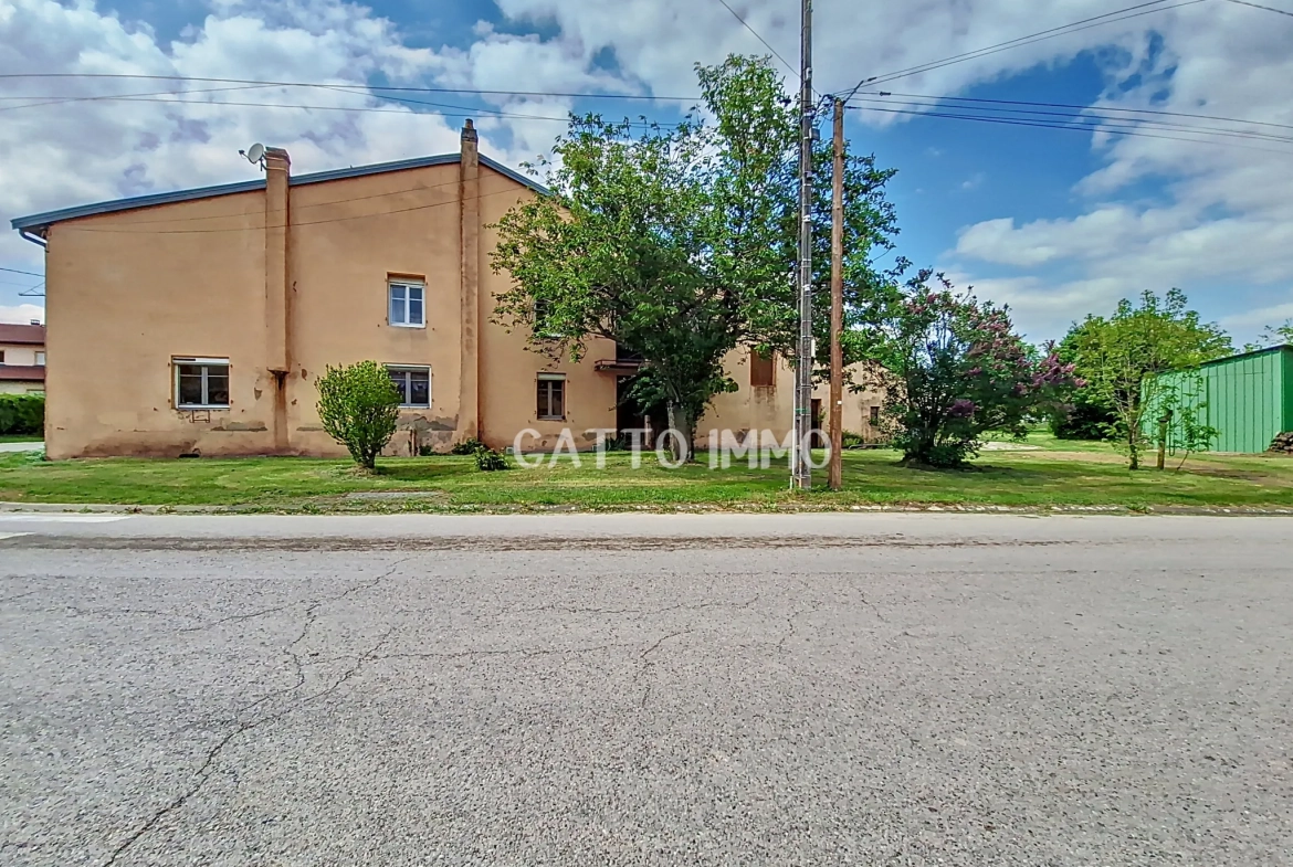 Grande maison de 183 m² avec potentiel à Remoncourt - Vente immobilière 