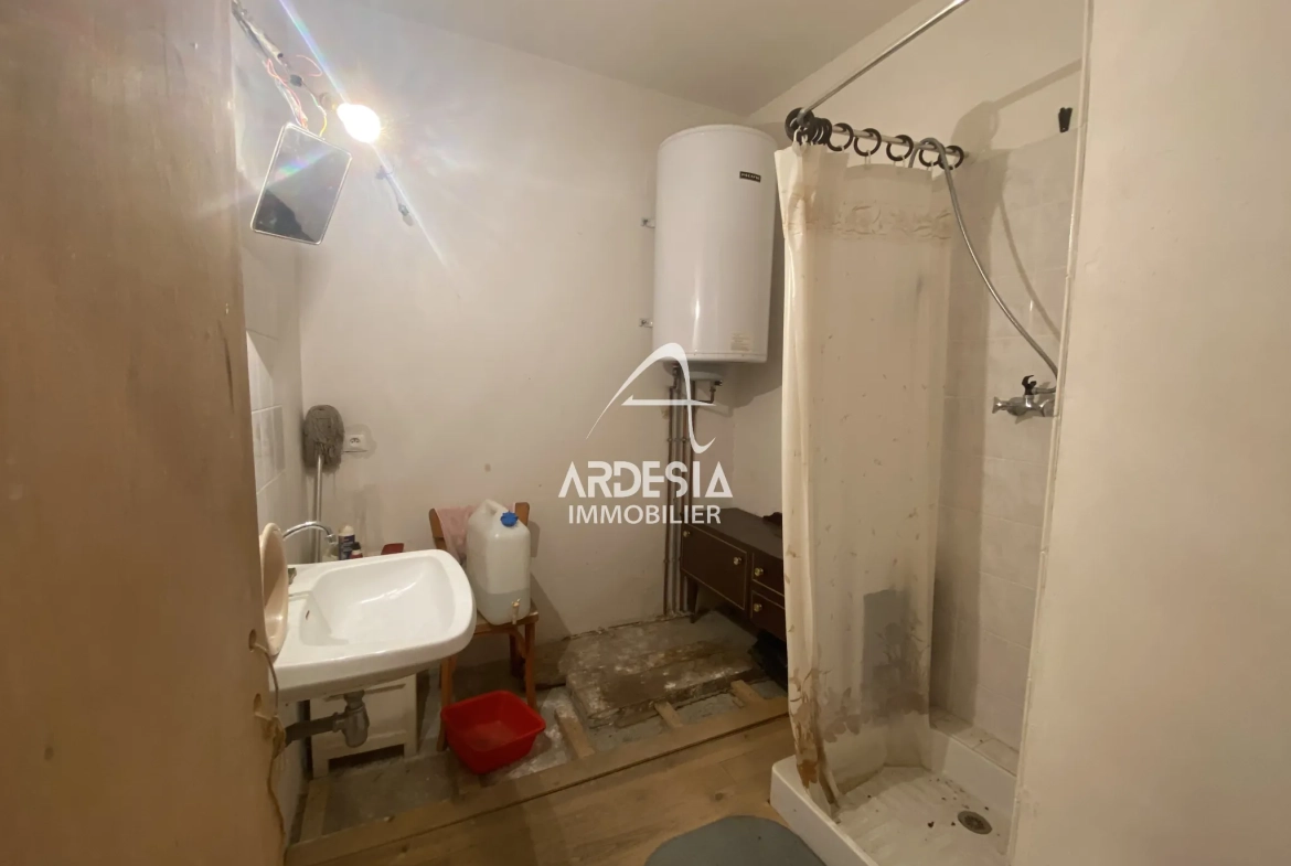 À vendre à Saint-André, deux appartements à réhabiliter avec combles et grange 