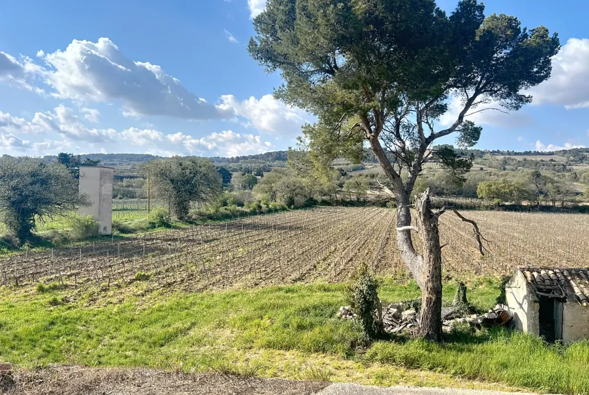 Ferme viticole à rénover dans la Drôme Provençale avec grand terrain et potentiel intérieur exceptionnel 