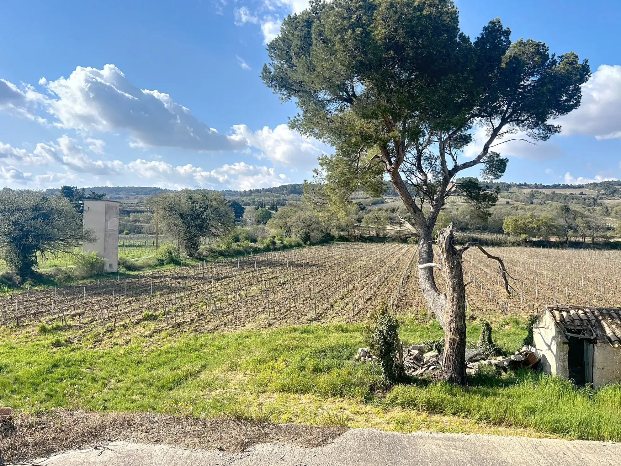 Ferme viticole à rénover dans la Drôme Provençale avec grand terrain et potentiel intérieur exceptionnel 