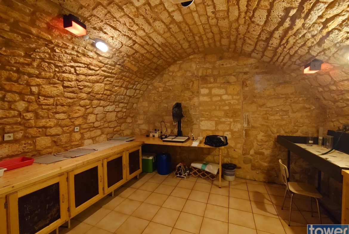 Charmante maison de bastide avec gîte et jardin à Montcabrier 