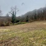 Terrain à bâtir de 26 ares proche du golf à Rougemont-Le-Château