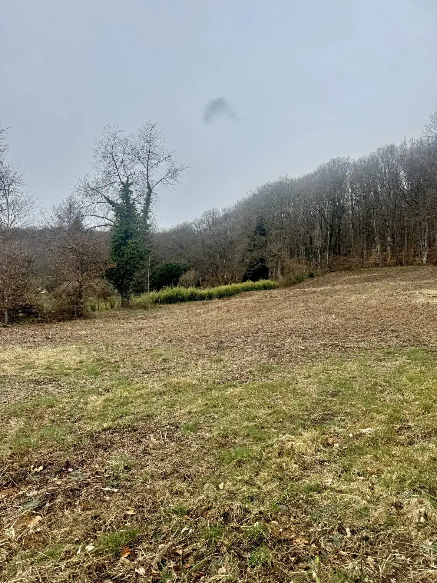 Terrain à bâtir de 26 ares proche du golf à Rougemont-Le-Château 