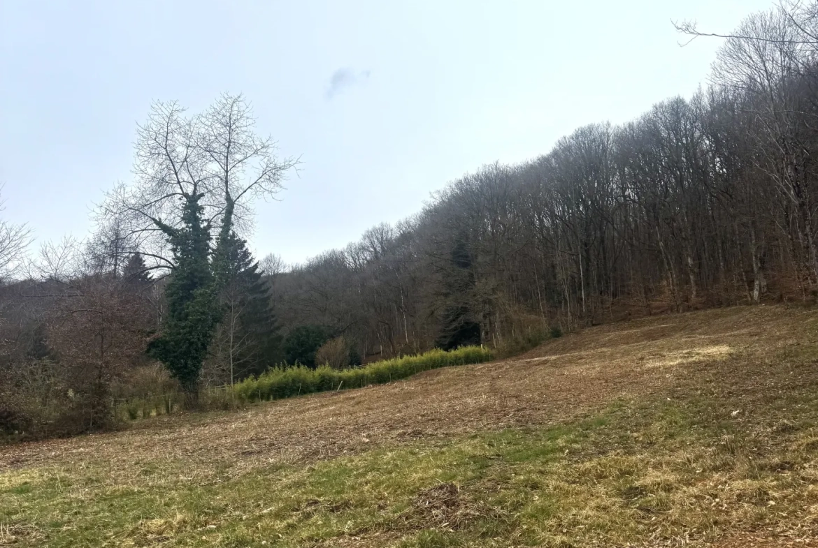 Terrain à bâtir de 26 ares proche du golf à Rougemont-Le-Château 