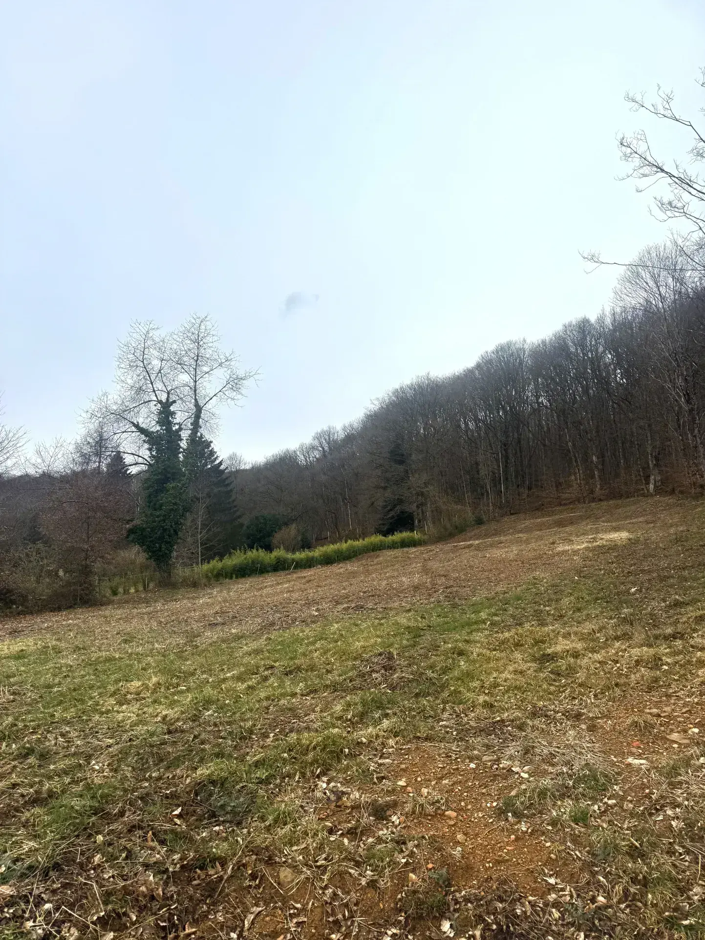 Terrain à bâtir de 26 ares proche du golf à Rougemont-Le-Château 
