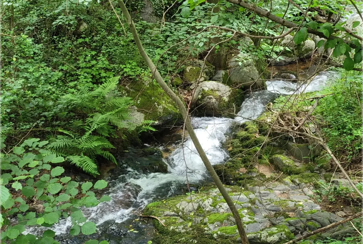 Ancien corps de ferme à rénover en Ardèche verte avec terrain de 6419 m² 