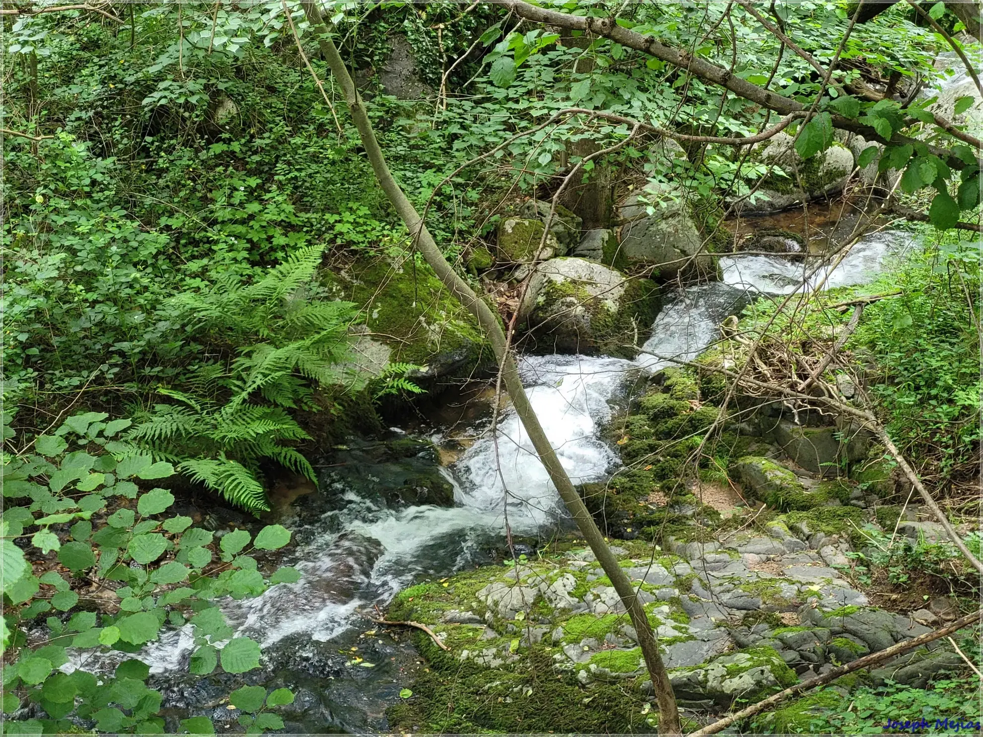 Ancien corps de ferme à rénover en Ardèche verte avec terrain de 6419 m² 