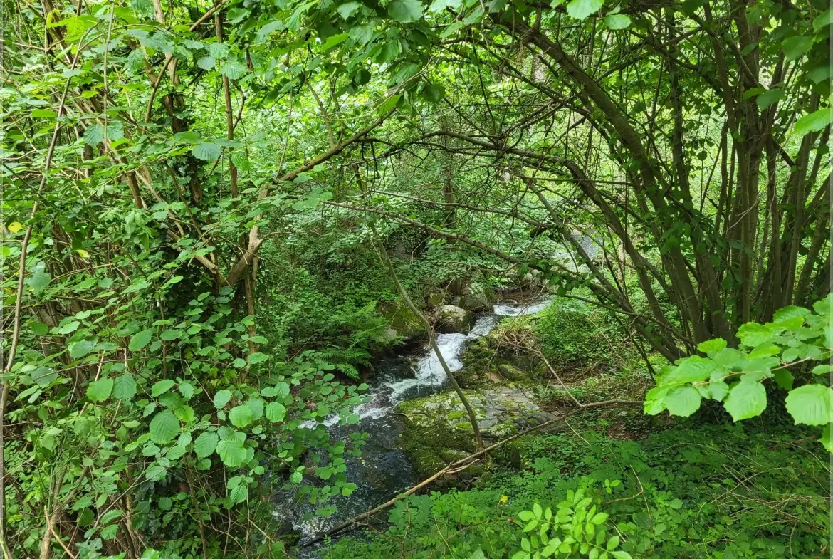 Ancien corps de ferme à rénover en Ardèche verte avec terrain de 6419 m² 