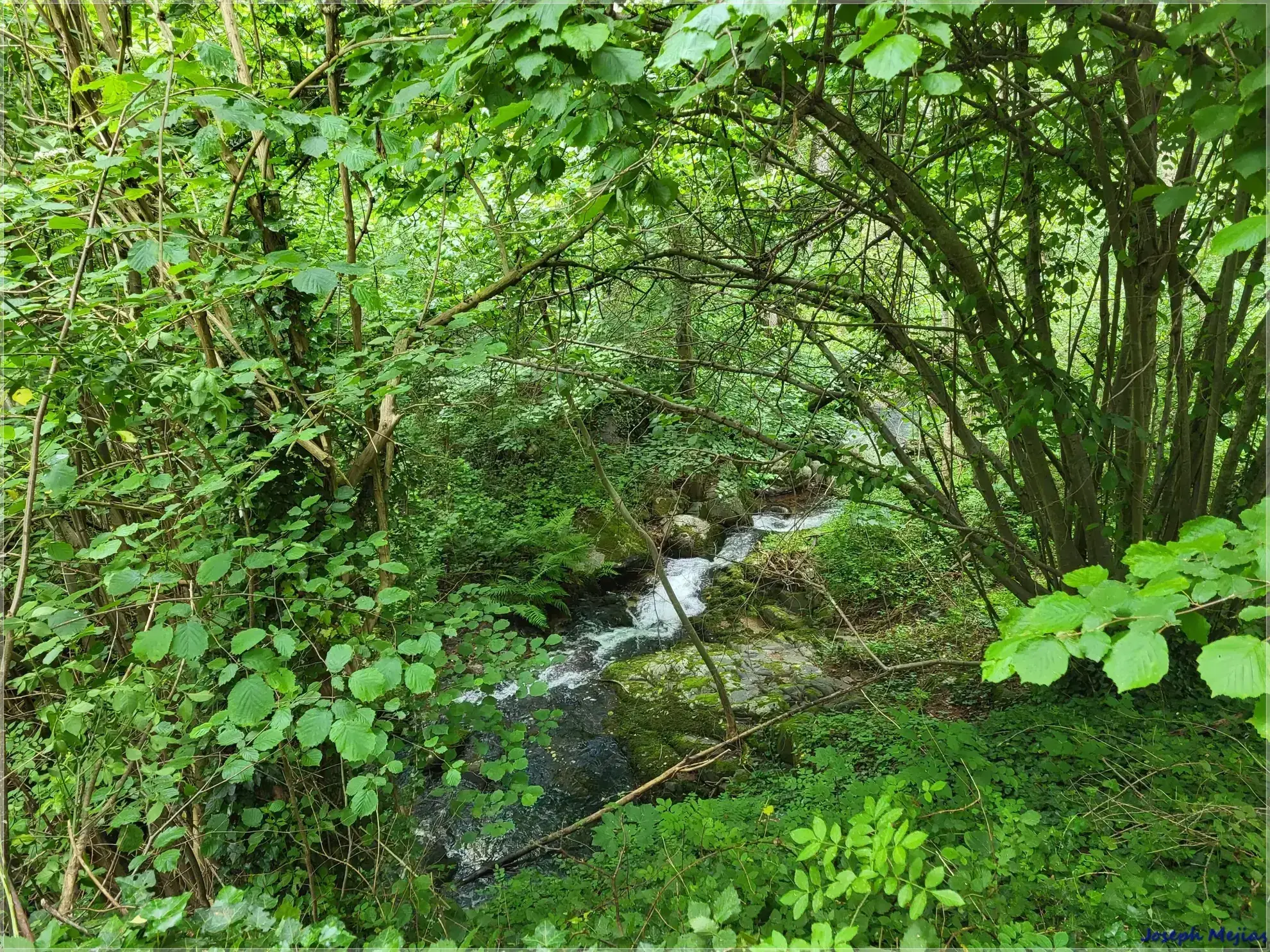 Ancien corps de ferme à rénover en Ardèche verte avec terrain de 6419 m² 