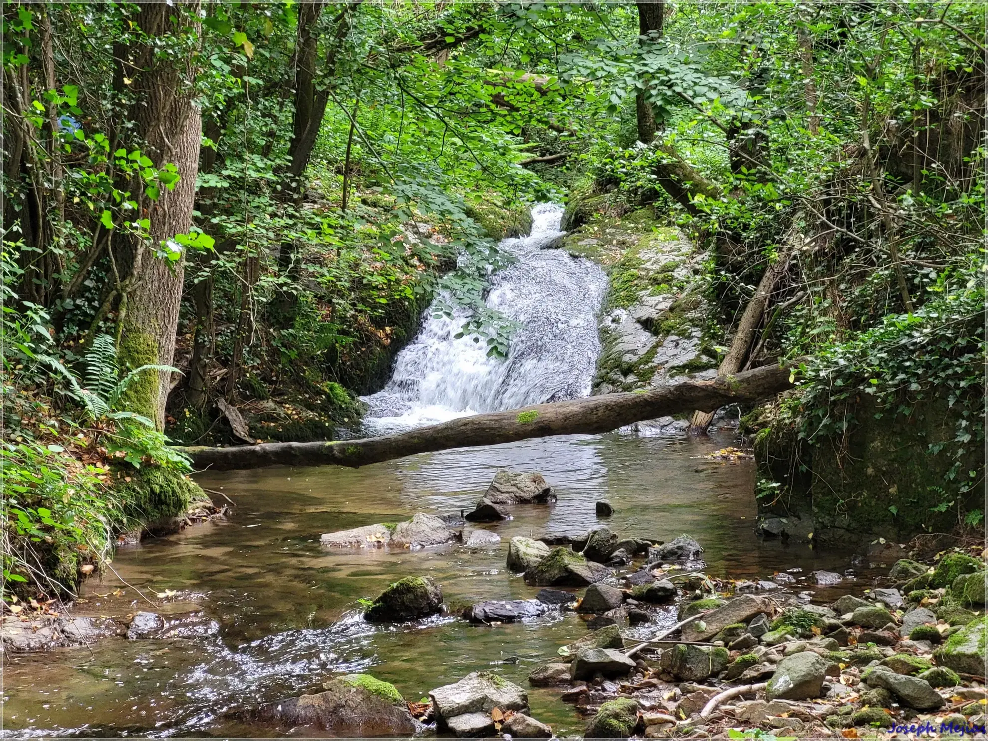 Ancien corps de ferme à rénover en Ardèche verte avec terrain de 6419 m² 
