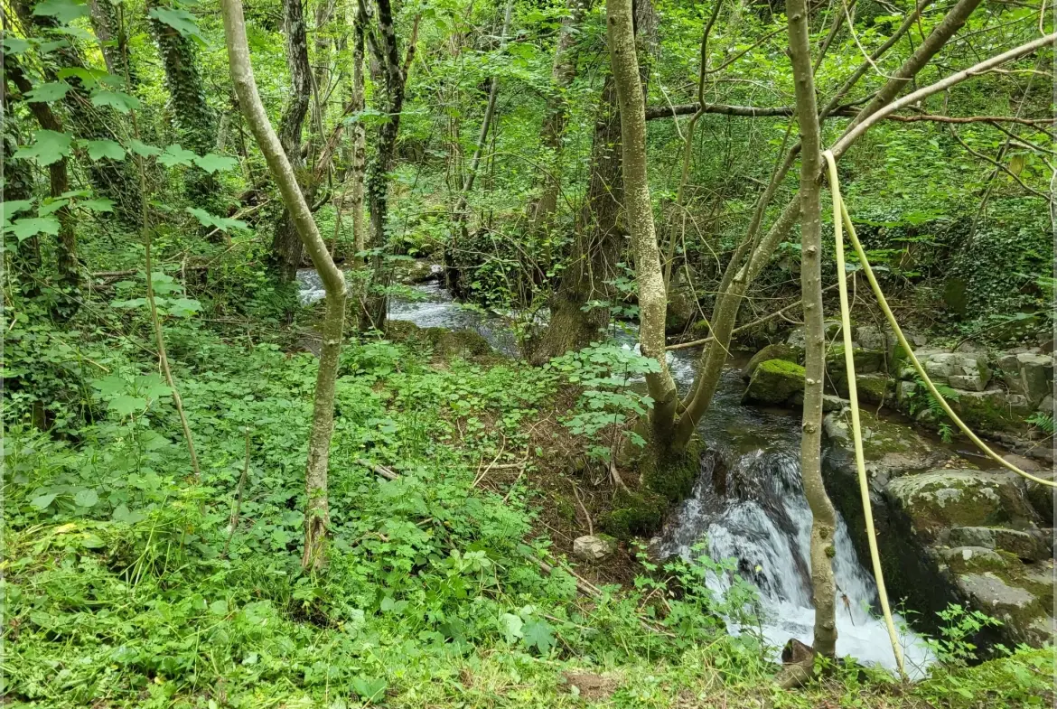 Ancien corps de ferme à rénover en Ardèche verte avec terrain de 6419 m² 