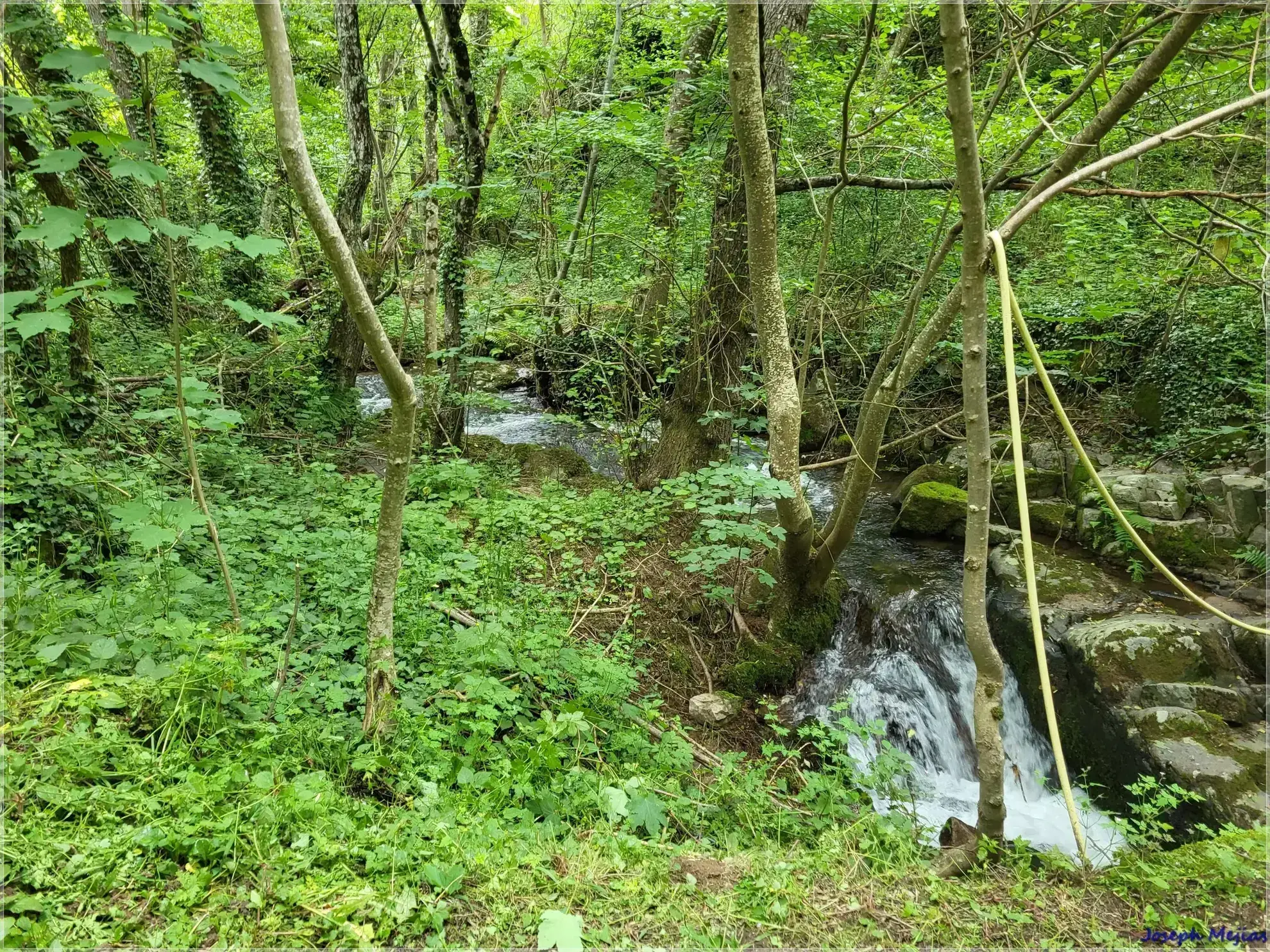 Ancien corps de ferme à rénover en Ardèche verte avec terrain de 6419 m² 
