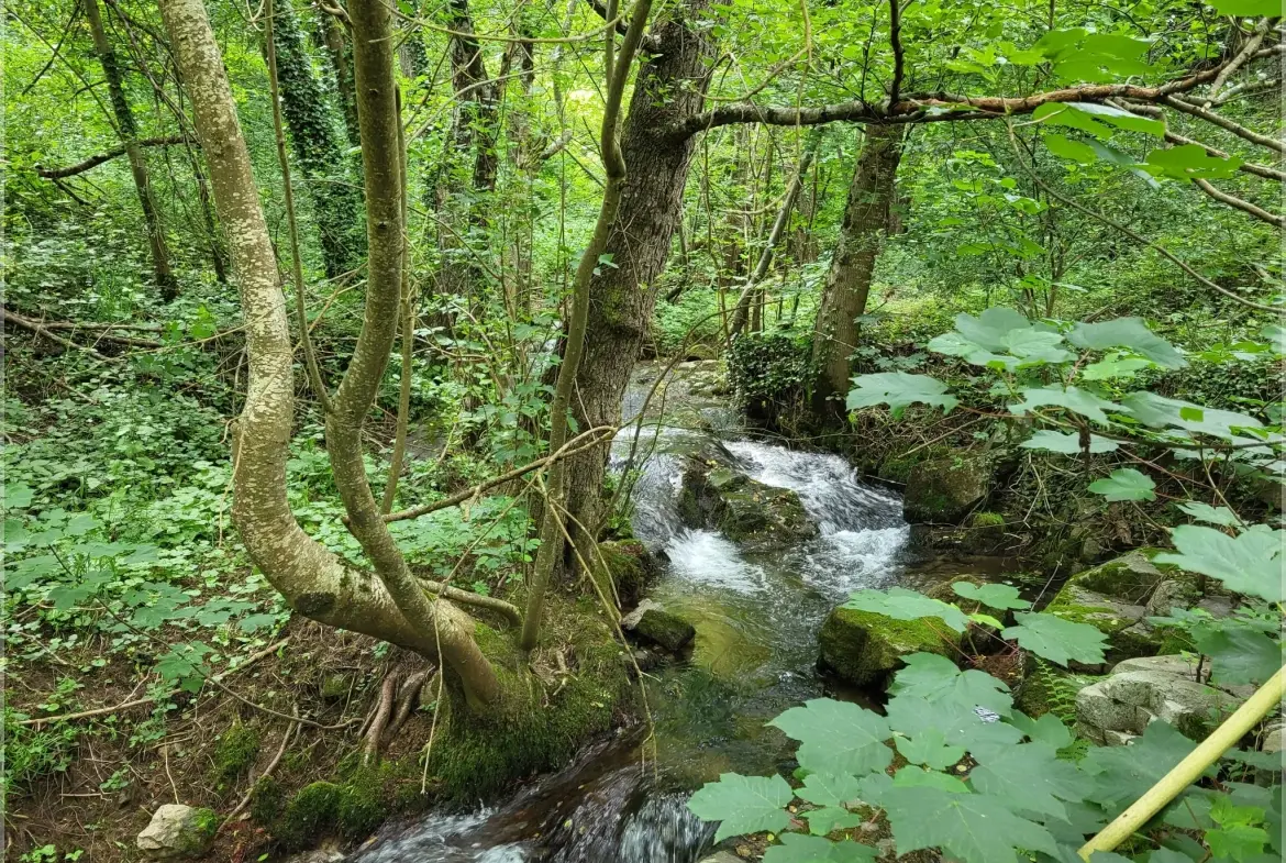 Ancien corps de ferme à rénover en Ardèche verte avec terrain de 6419 m² 