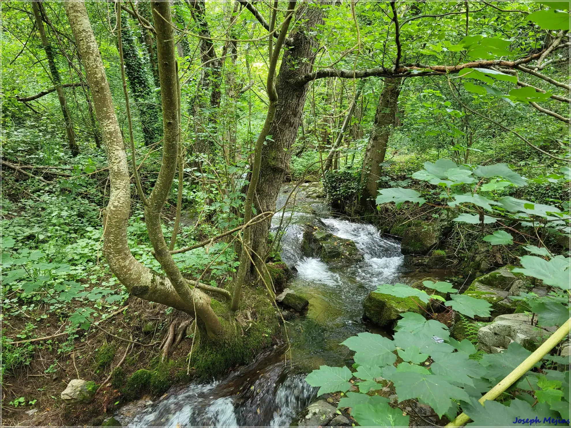Ancien corps de ferme à rénover en Ardèche verte avec terrain de 6419 m² 