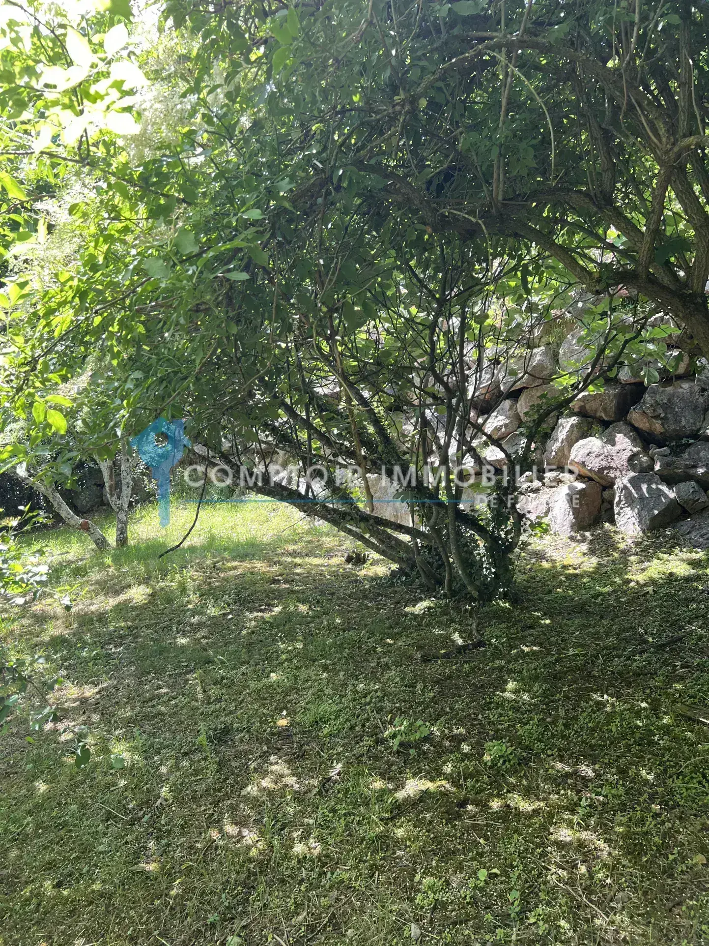 Maison 3 chambres avec sous-sol complet à Damiatte - Vue dégagée et terrain arboré 