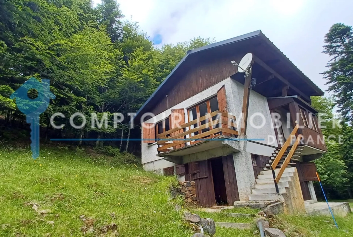 Chalet à vendre au Mourtis à proximité du domaine skiable et des sentiers de randonnée 