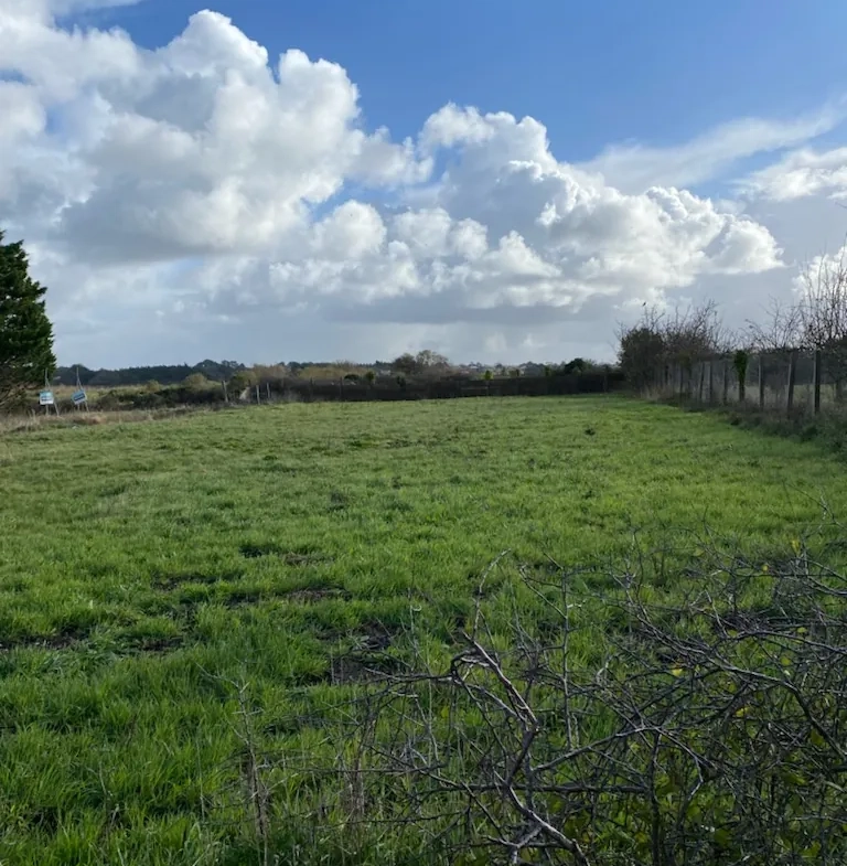 Terrain constructible de 1502 m² à Saint-Hilaire-de-Riez – Projet sur mesure 