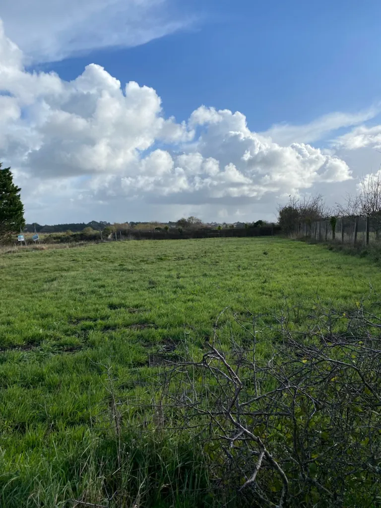Terrain constructible de 1502 m² à Saint-Hilaire-de-Riez – Projet sur mesure 