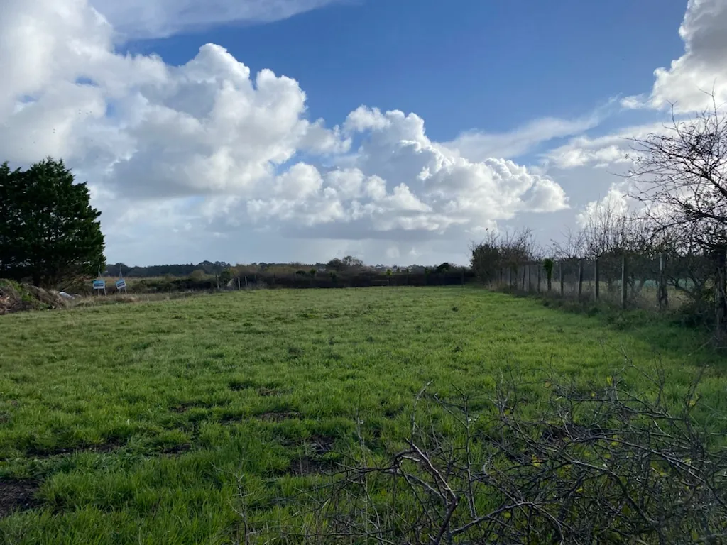 Terrain constructible de 1502 m² à Saint-Hilaire-de-Riez – Projet sur mesure 